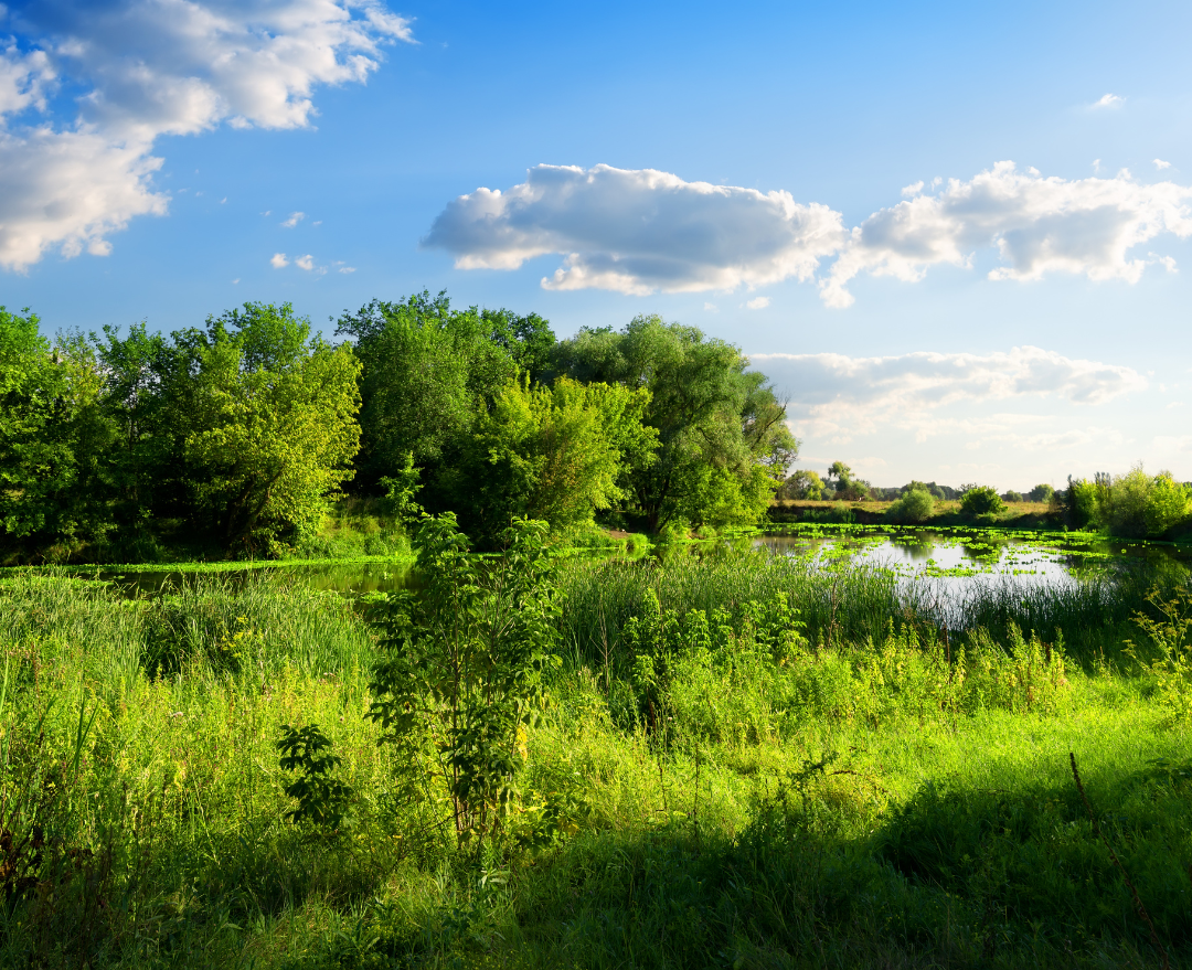 Omgaan met Natura 2000-gebieden in jouw bouwproject