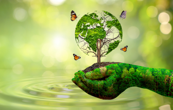 Stikstofemissie in de Bouw: nieuwe regelgeving en praktische aanpak